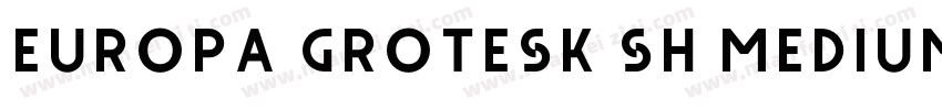 Europa Grotesk SH Medium字体转换